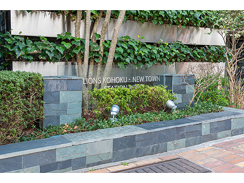 現地外観写真 壁面緑化