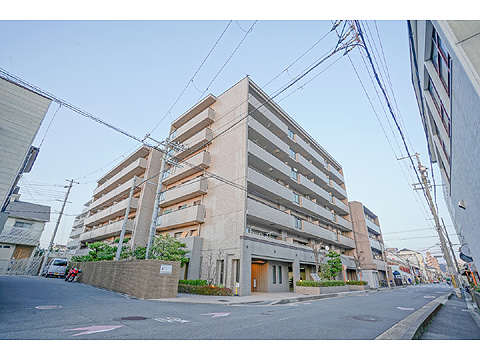 現地外観写真 外観