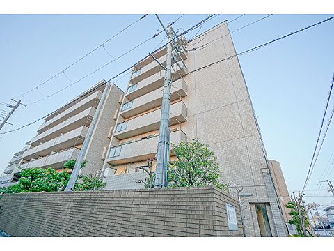 現地外観写真 外観