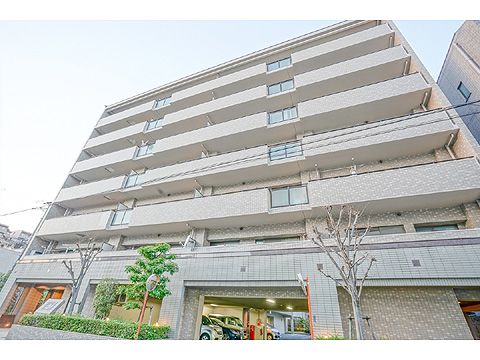 現地外観写真 外観