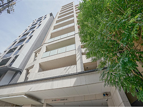 現地外観写真 外観