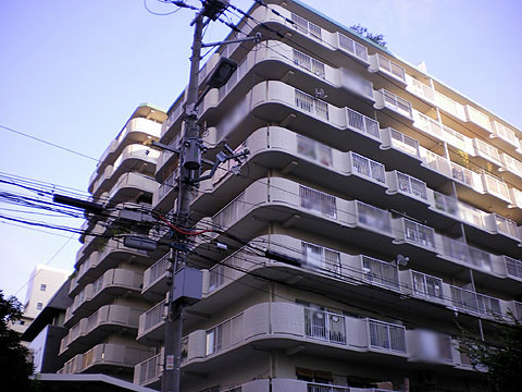 その他共用部 外観2