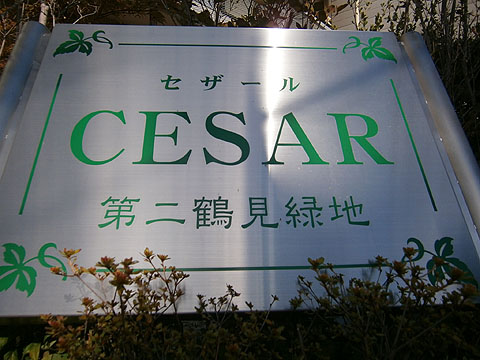 その他共用部 写真1