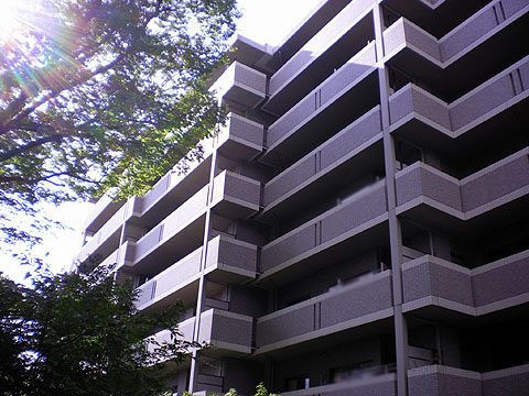 その他共用部 外観2