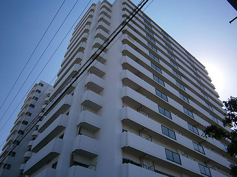 その他共用部 外観3