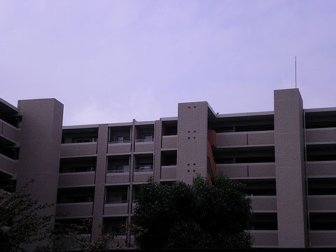 その他共用部 外観3