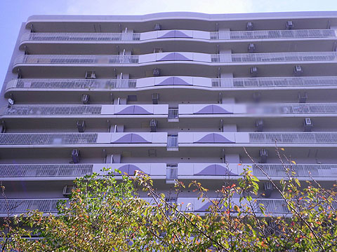 その他共用部 外観3