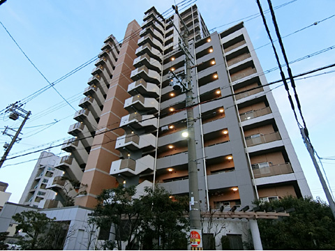 現地外観写真 外観