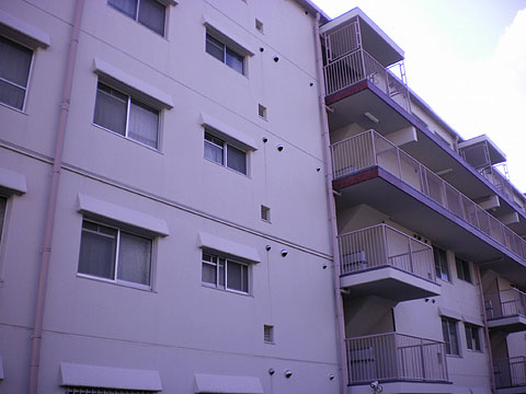 その他共用部 外観2