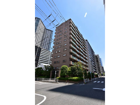 現地外観写真 外観