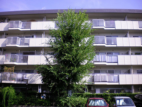 その他共用部 外観2