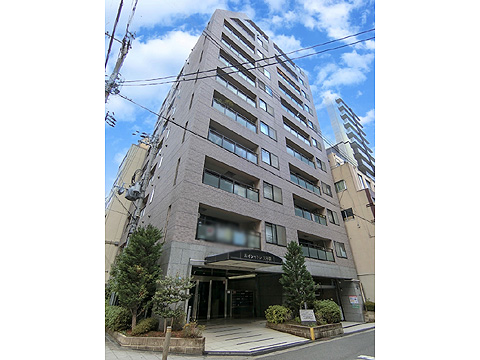 現地外観写真 棟写真たて(ルイシャトレ大手前②)