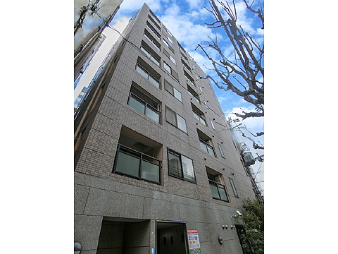 現地外観写真 棟写真たて(ルイシャトレ大手前③)