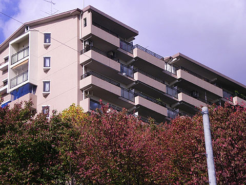 その他共用部　外観２