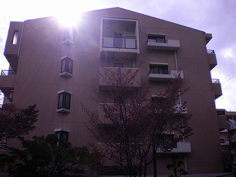 その他共用部 外観3