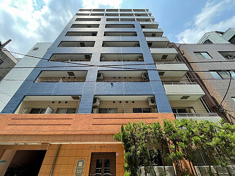 現地外観写真 外観