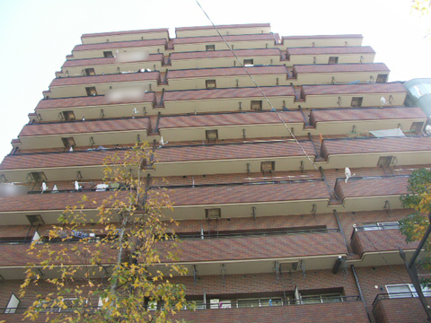 その他共用部　外観5