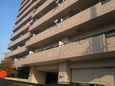 その他共用部 外観2