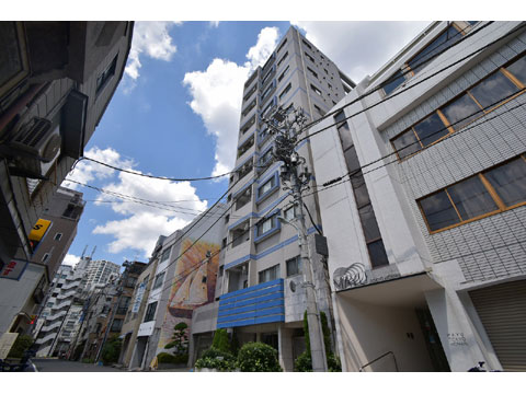 現地外観写真 外観