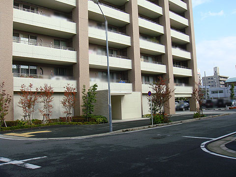 現地外観写真　IMGP1385