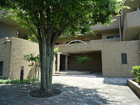 エントランス エントランス入口にはシンボルツリーがお出迎えし