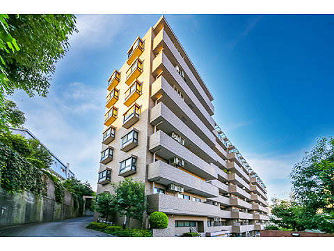 現地外観写真 外観