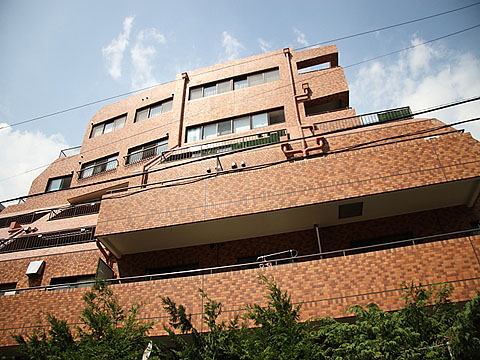 現地外観写真　現地外観（東側）