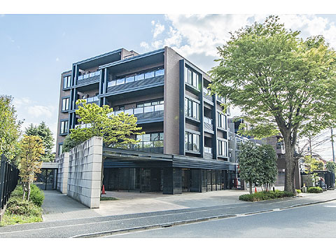 現地外観写真 外観