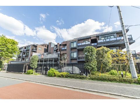 現地外観写真 外観