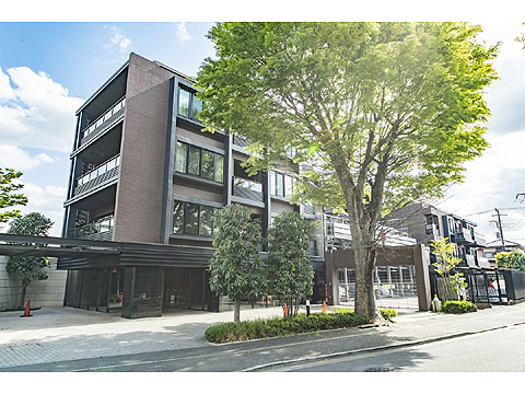 現地外観写真 外観