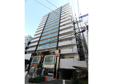 現地外観写真 棟写真たて(エステムエグゼ心斎橋②)