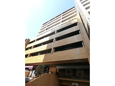 現地外観写真 棟写真たて(ダイアパレス順慶町②)