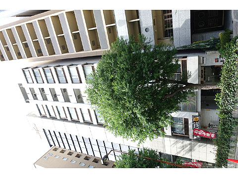 現地外観写真　DSC08474