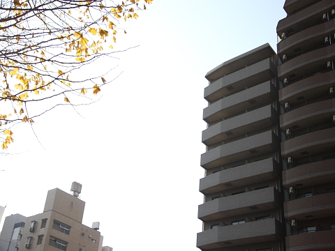 その他共用部　外観4