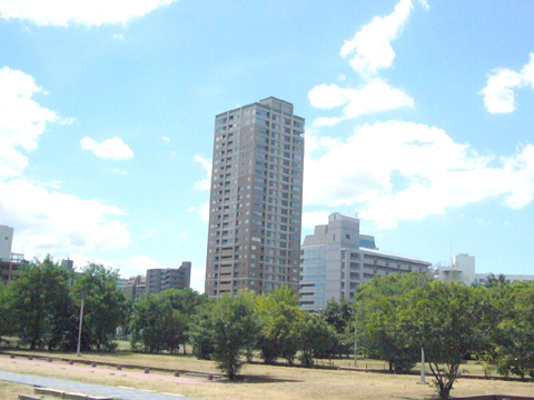 現地外観写真 外観