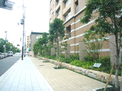 現地外観写真 建物周辺歩道