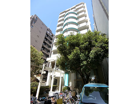 現地外観写真　棟写真たて（ヴェルドール安堂寺②）