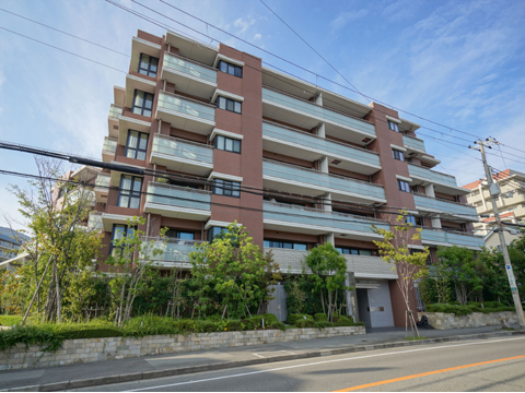 現地外観写真 外観