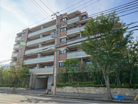 エントランス エントランスホール