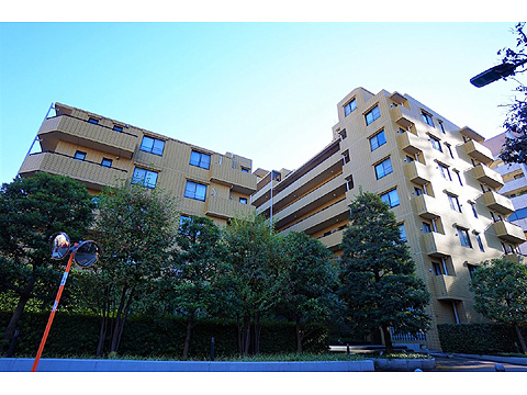 現地外観写真　現地外観写真