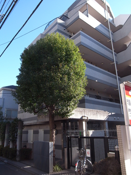 その他共用部　外観2