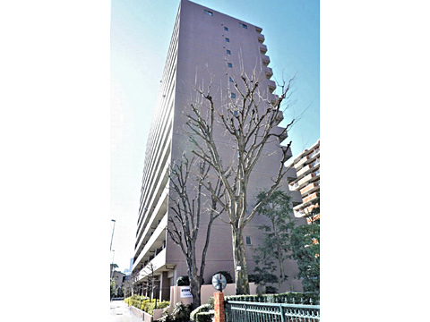 現地外観写真　外観２