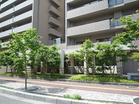 現地外観写真　ｓｐ　弥右衛門公園 (2)