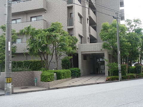 エントランス sp 桟橋通り (1)