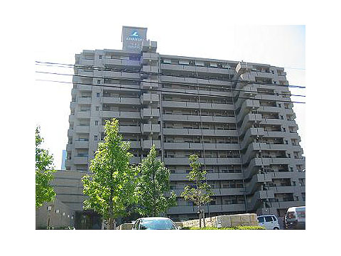 現地外観写真 SP桟橋第2