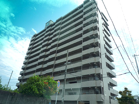 現地外観写真　新田 (1)