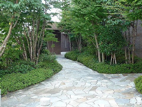 エントランス　P1030184