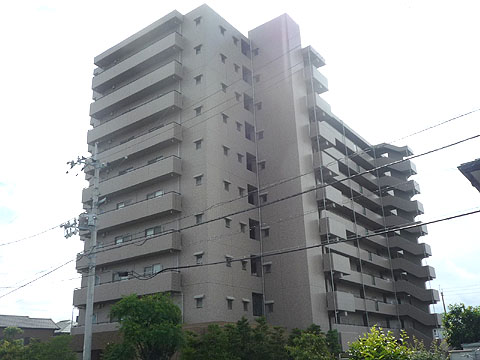 現地外観写真 sp鏡川大橋 (1)