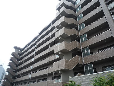 現地外観写真　中の島桜通り (1)