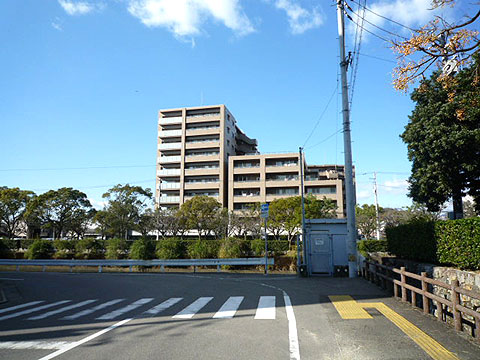 現地外観写真 外観